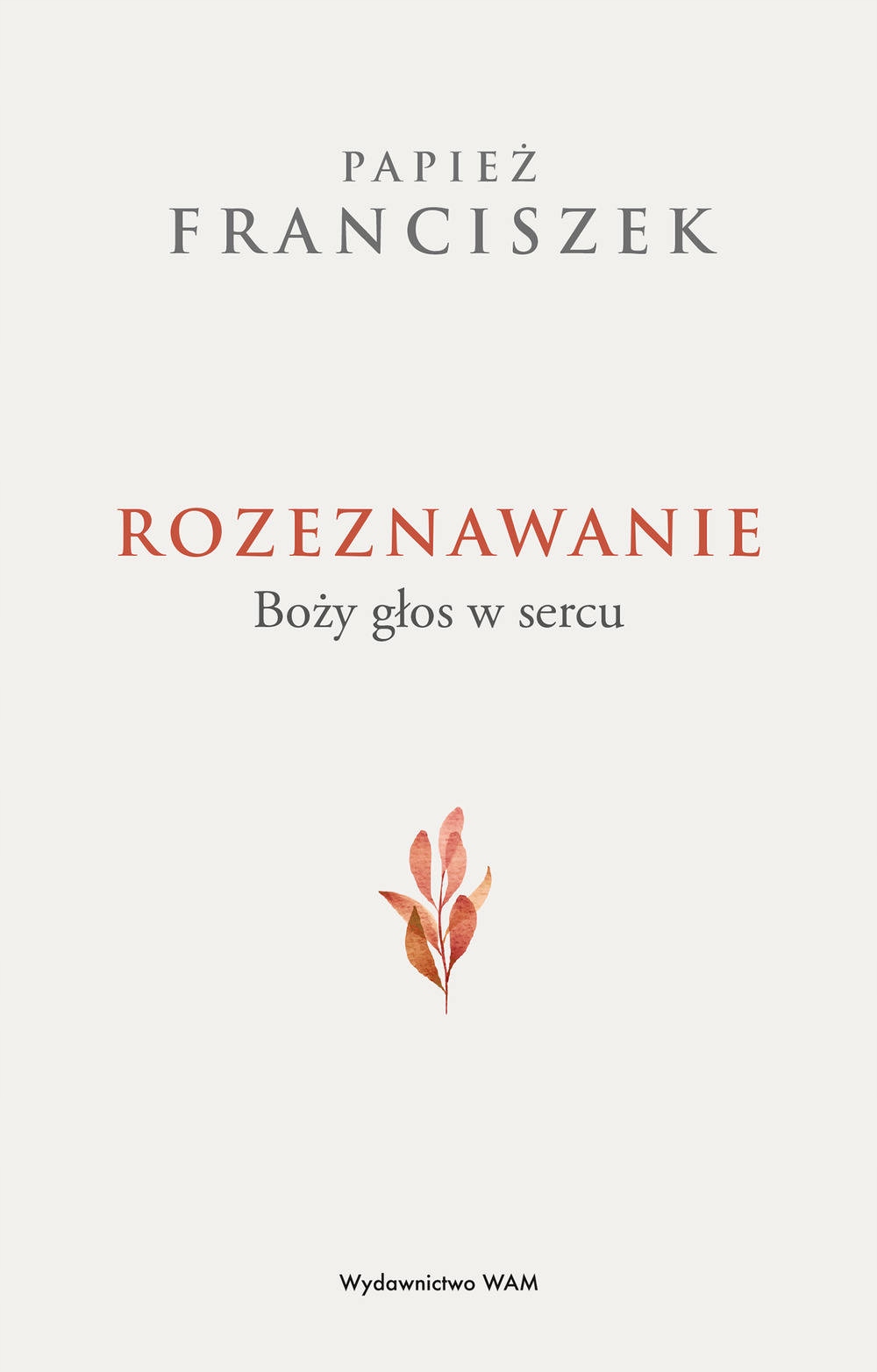 Rozeznawanie, Papież Franciszek