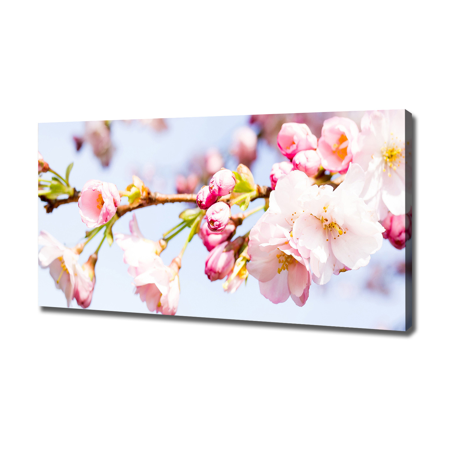 

Duży foto obraz na płótnie Kwiaty wiśni 120x60 cm