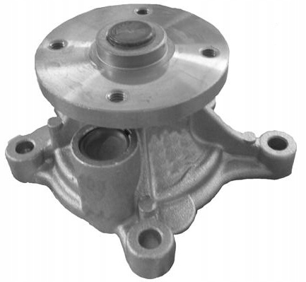 Насос воды DOLZ H226