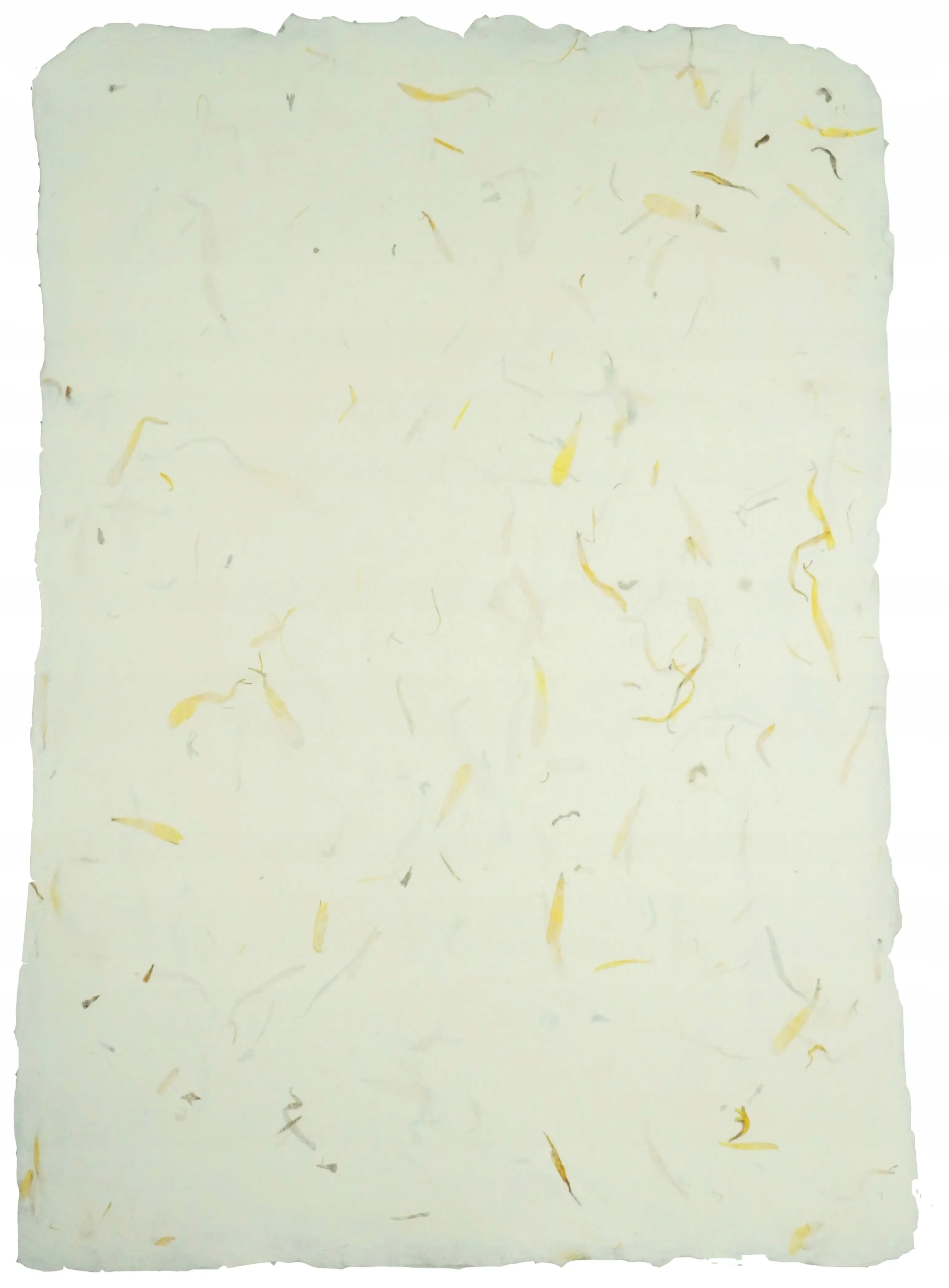 

Papier ręcznie czerpany kwiatowy nagietek A4 5ark.