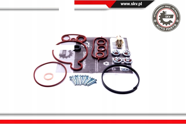 ESEN SKV ZESTAW NAPRAWCZY POMPY VACUM 18SKV805