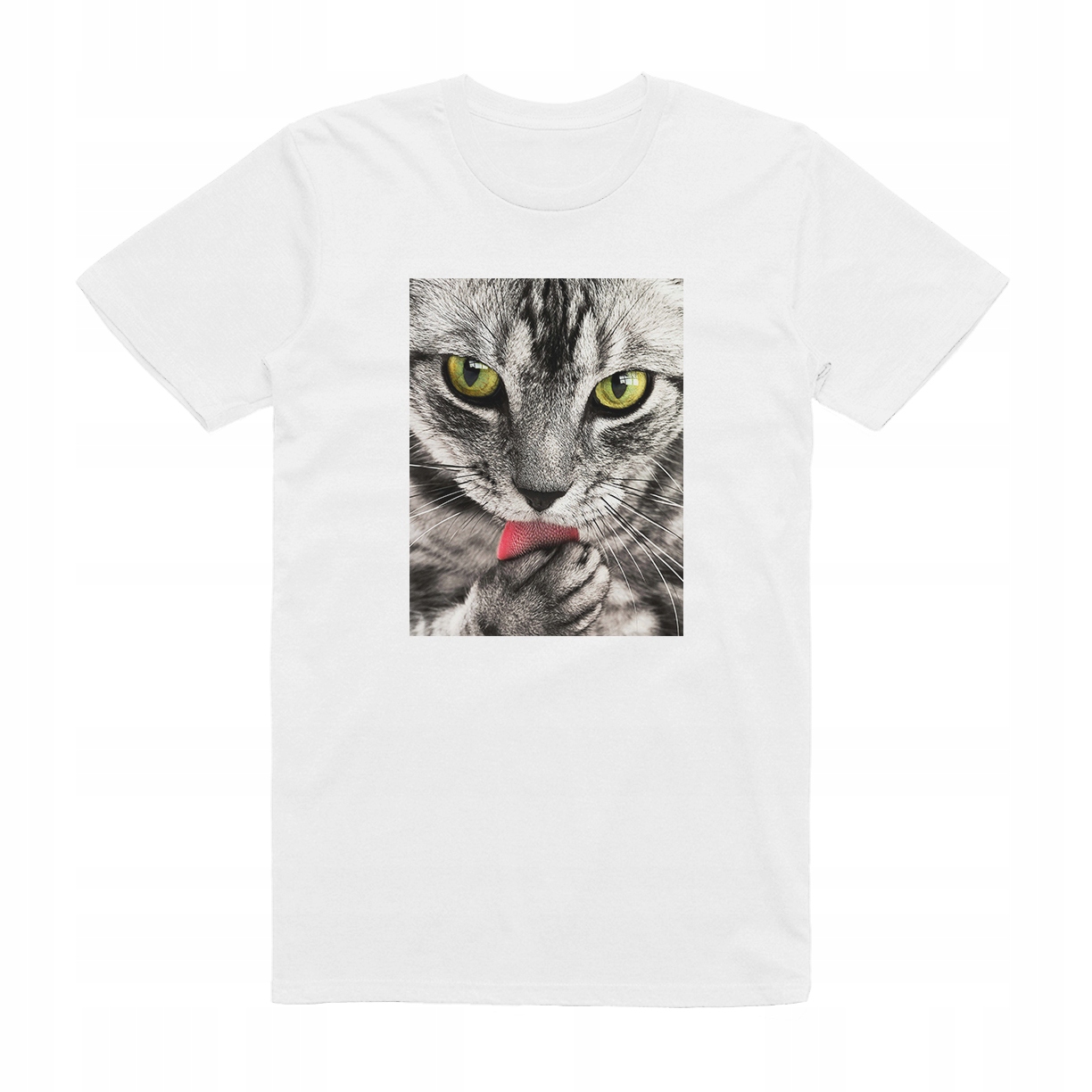 

L - Koszulka T-shirt Kot Kociak Z Kotem Koci Cat