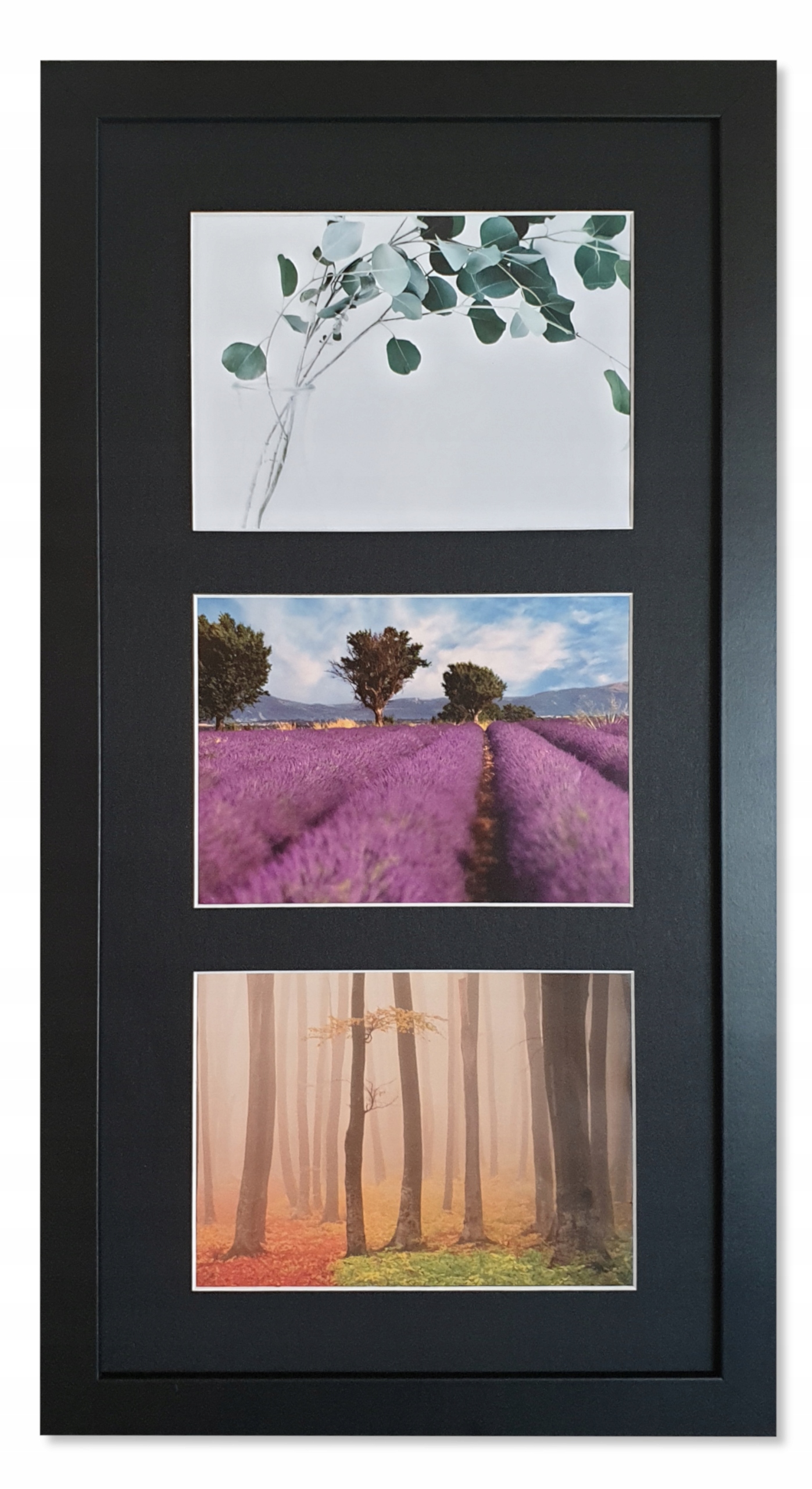 

Galeria 3 zdjęcia 13X18 rama i Passe-partou Ninack