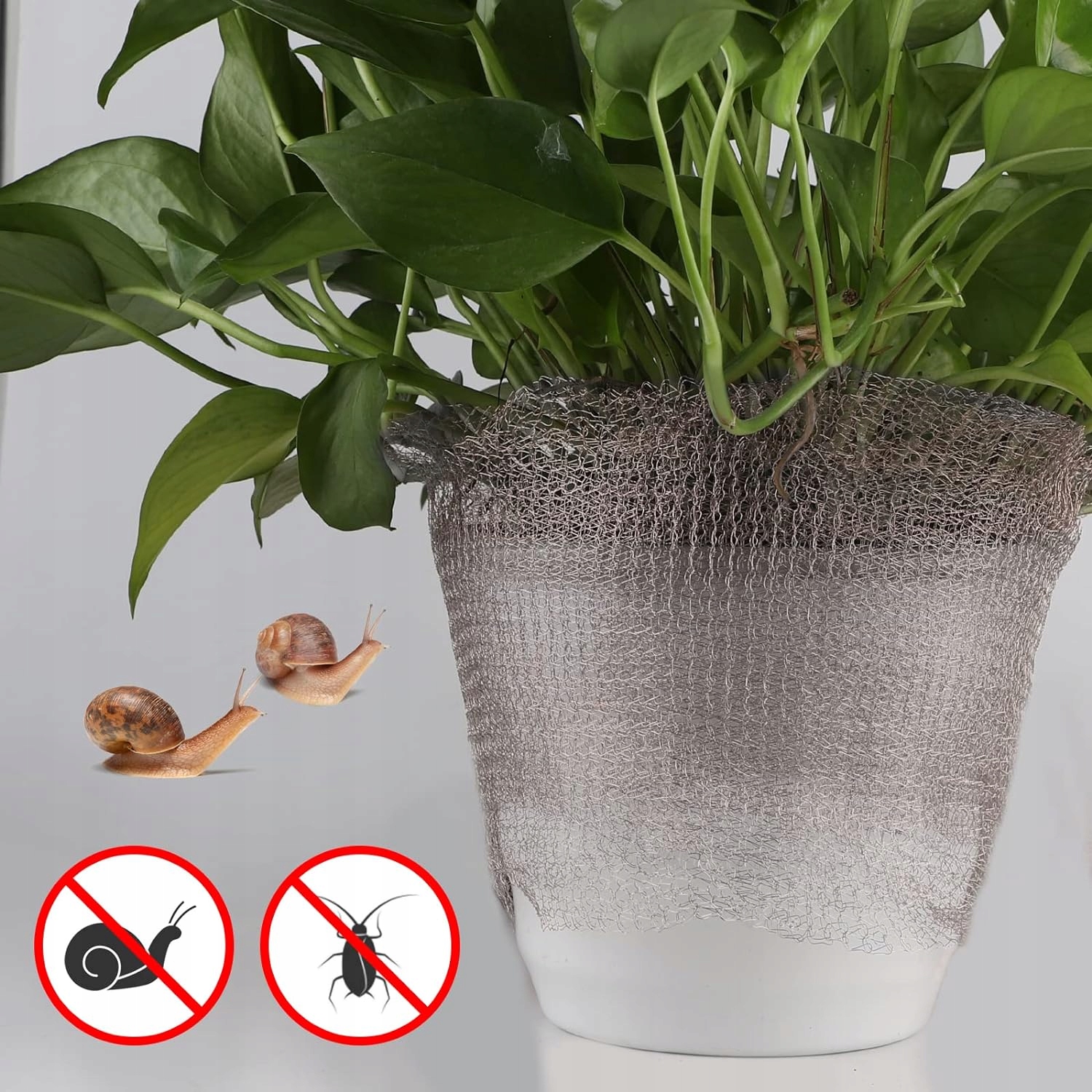 SIATKA DO OCHRONNA ROŚLIN PRZECIW OWADOM ŚLIMAKOM DŁUGA 24M MIEDZIANA MOCNA Marka inna