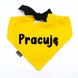 Levně Nákrčník pro psa Pracuji Psiakrew, personalizovaná šála M