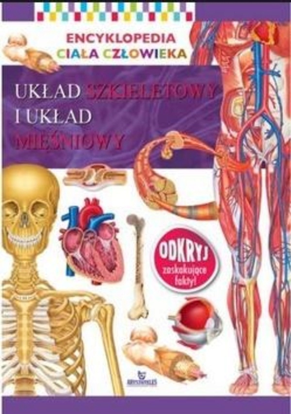 

Encyklopedia ciała człowieka. Układ szkieletowy