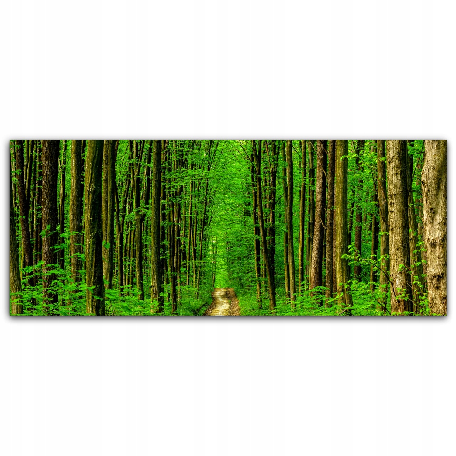 

Canvas płótno do sypialni 125x50 Las Drzewa Natura