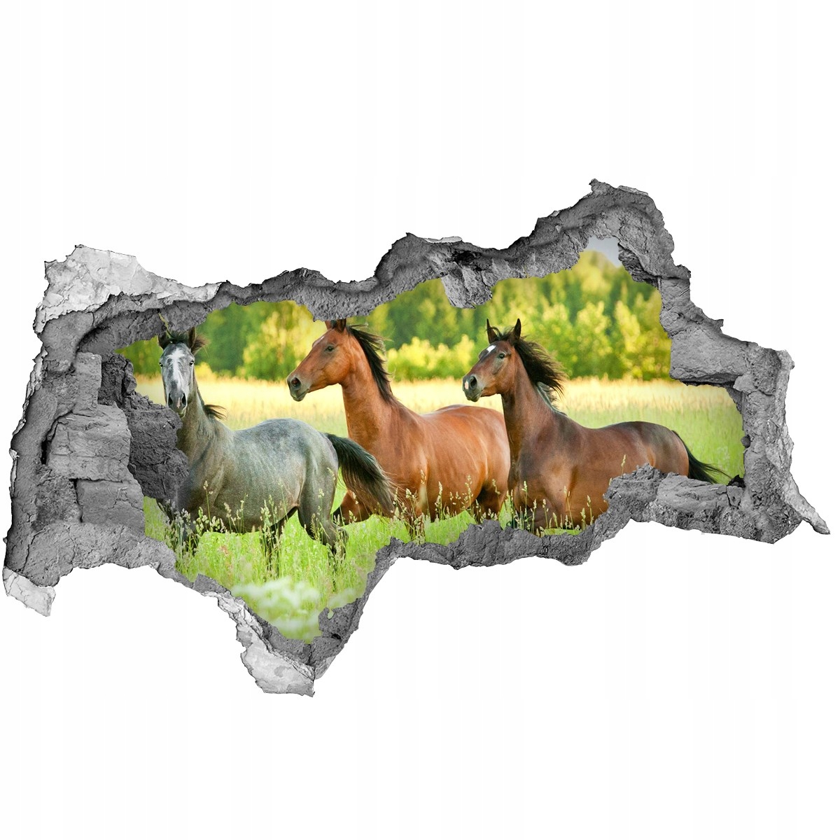 

Dziura 3d fototapeta Naklejka Konie w galopie