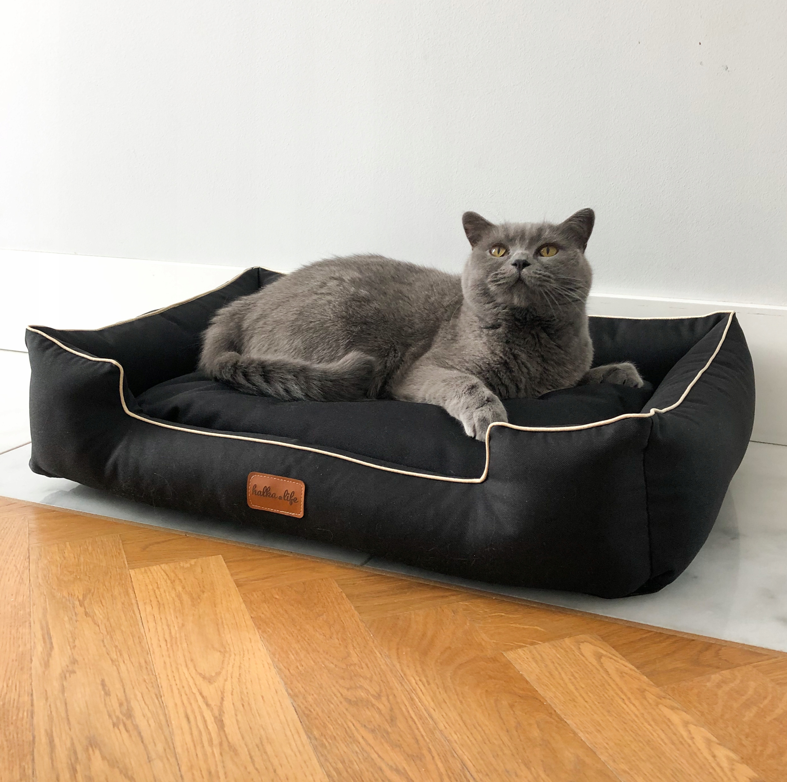 Levně Pelíšek, pohovka pro kočky Černá, S (65x45)