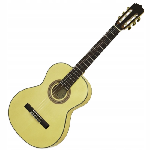 Aria A-20 F (n) akustická kytara