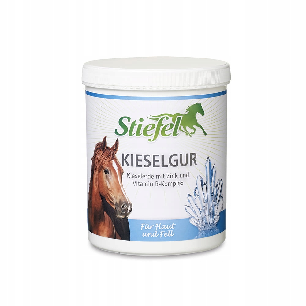 Stiefel Kieselgur 1kg Krzem
