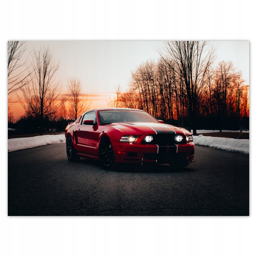 

Fototapety flizelina 254x184 Ford Mustang