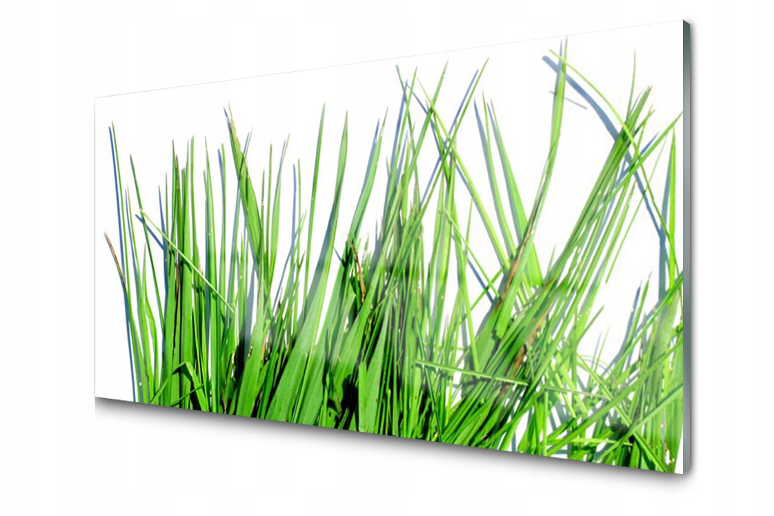 

Panel szklany dekor Trawa Natura 120x60 + Klej