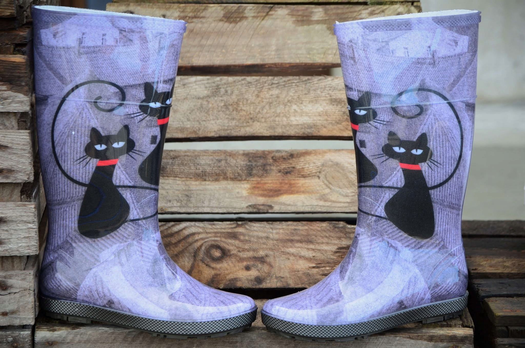 Kalosze damskie koty wysokie młodzieżowe HAWAI 38 Model Hawai Lady Exclusive ED