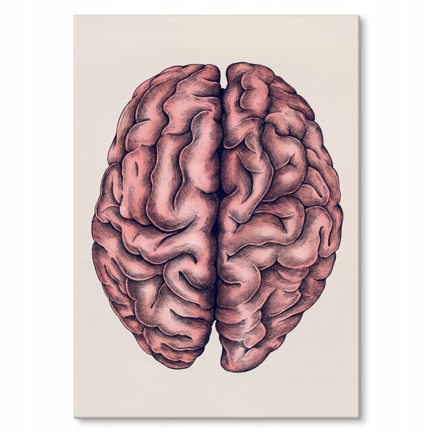 Kovový plakát Mozek Dárek 30 x 42 cm