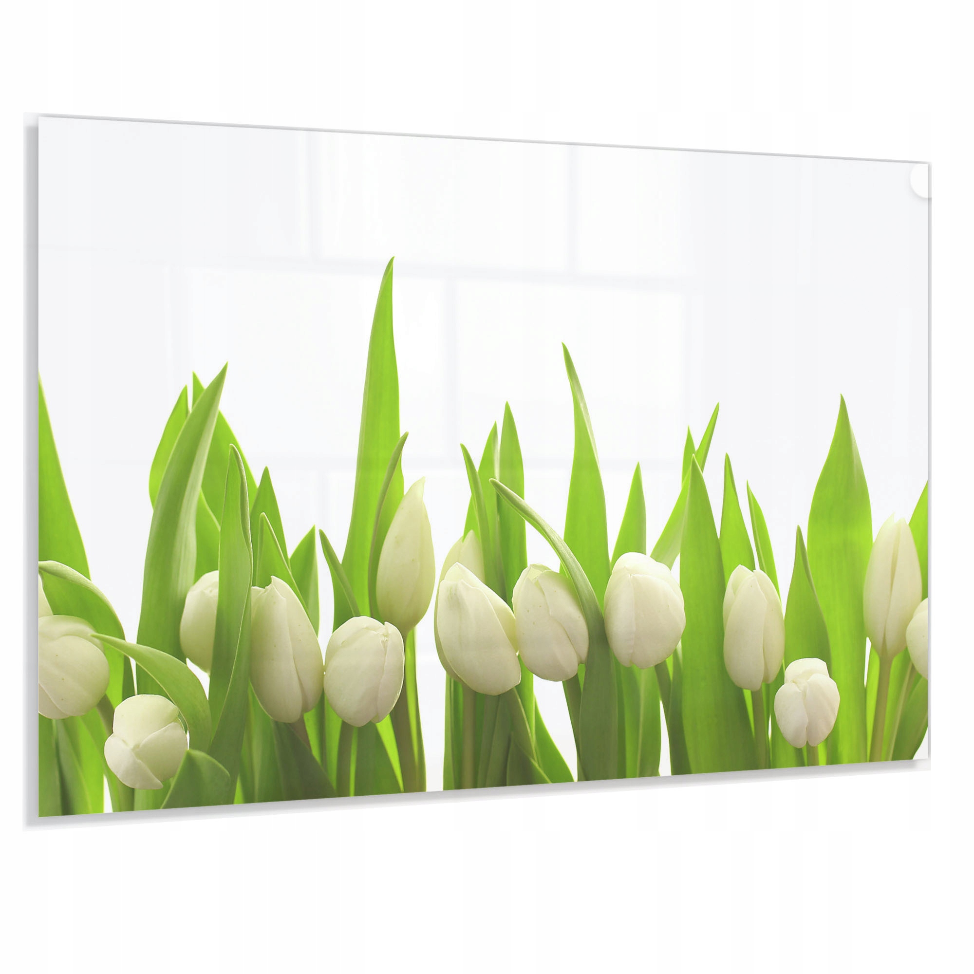 Kalený Panel 4 mm 80x60 cm Do Kuchyne Dekoračný Ochranný Lacobel