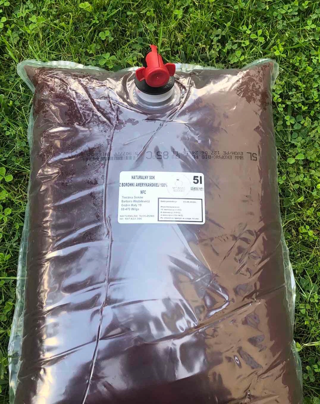 Sok z borówki amerykańskiej 100% 5l (tłoczony,NFC)