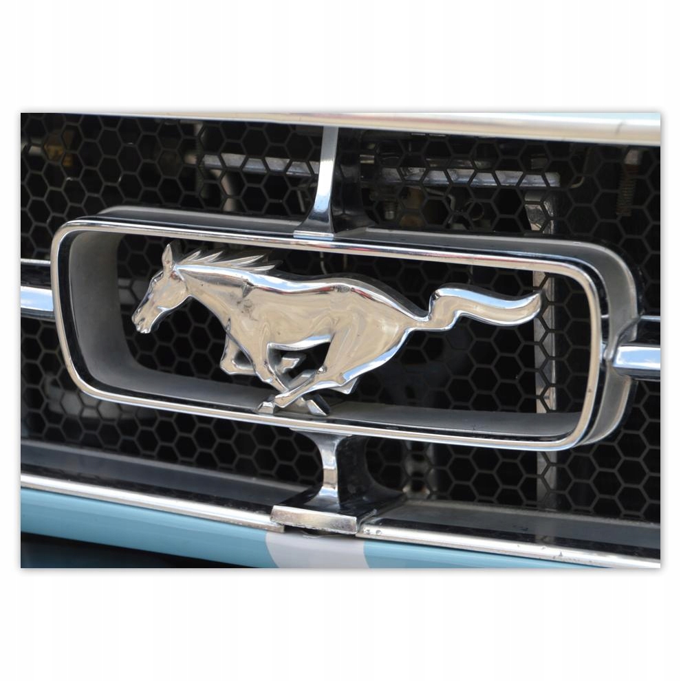 

Naklejki 70x50 Ford Mustang Samochód Usa