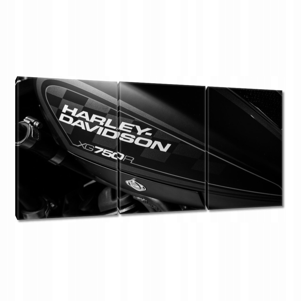 

Obrazy 120x60 Harley Davidson Motocykl