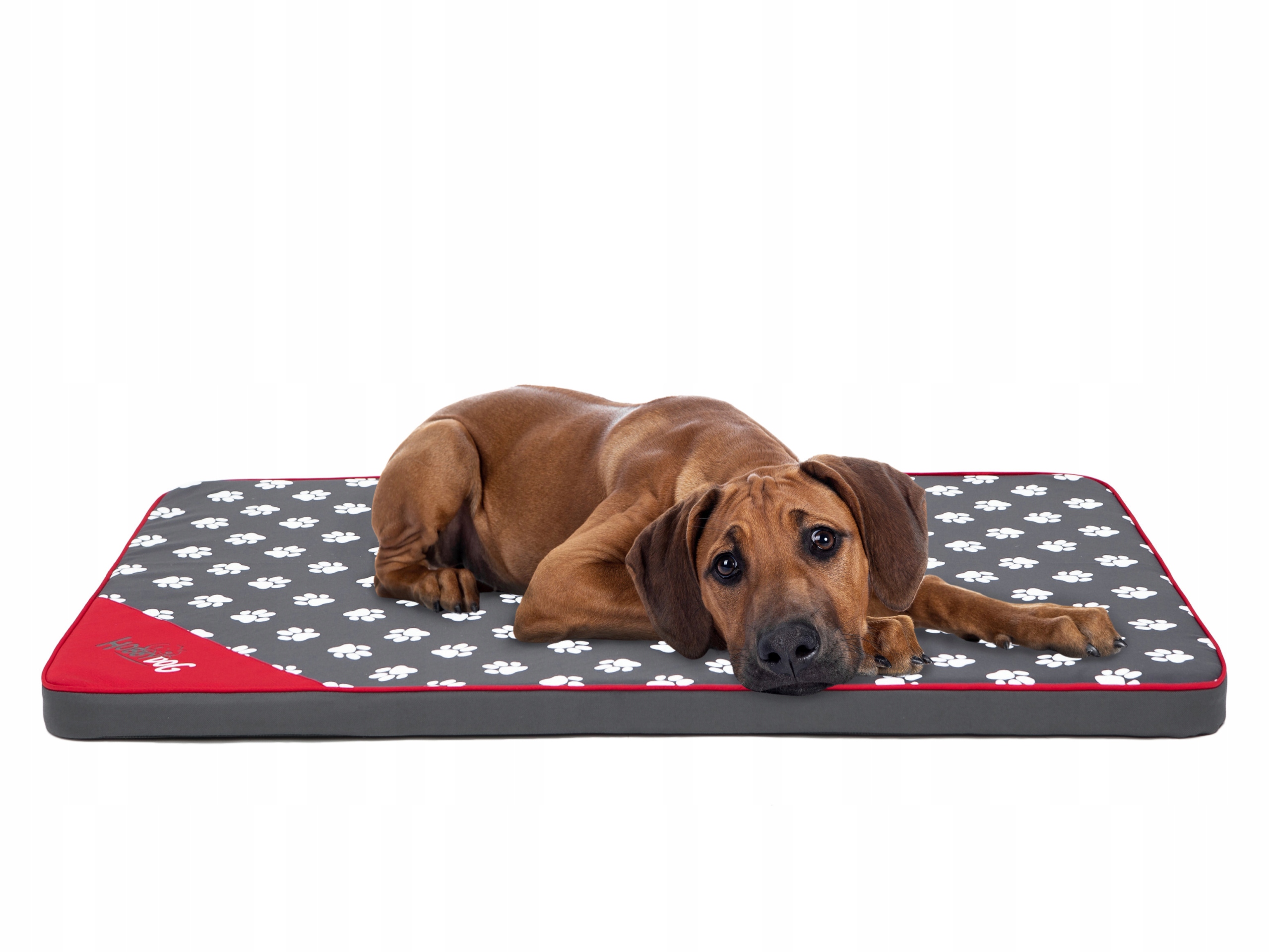 Levně Materc Light pelíšek Hobbydog L: 100 x 67 cm