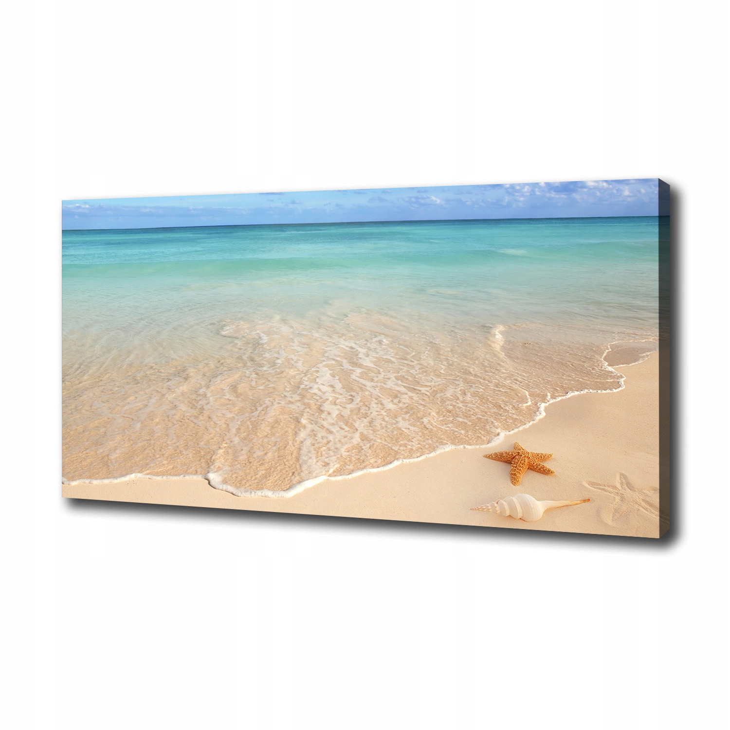 

Foto obraz na płótnie Rozgwiazda na plaży 100x50cm
