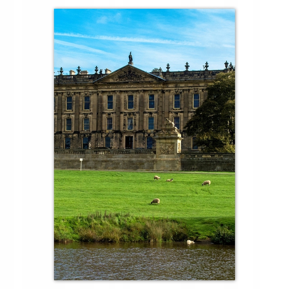 

Plakaty 62x93 Owce na trawniku