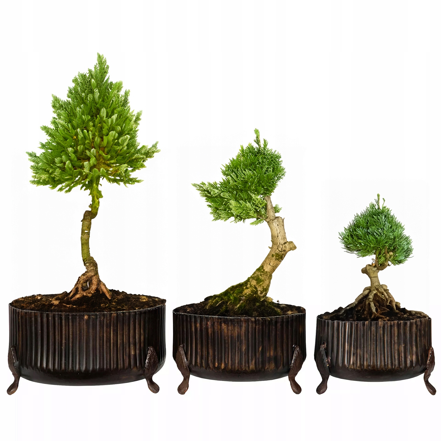 Kvetináč Na Bonsai Veľký 3 ks hnedý obal na kvetináč do obývačky domu na balkón