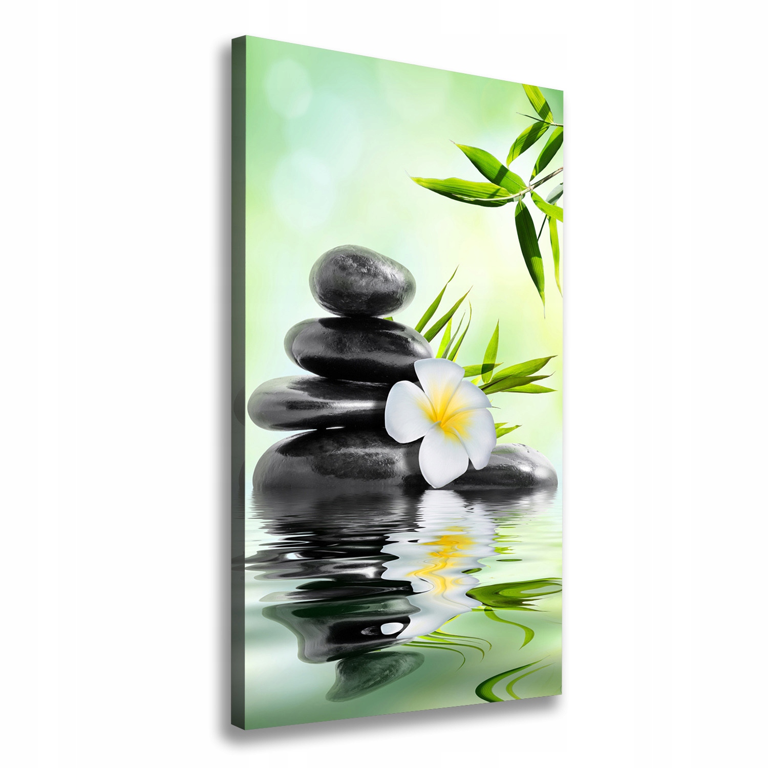 

Nowoczesny fotoobraz canvas na ramie Bambus 60x120