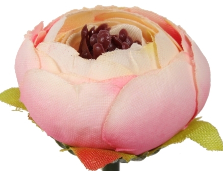 

Camelia Kamelia Mini Kolor Kremowo Różowy