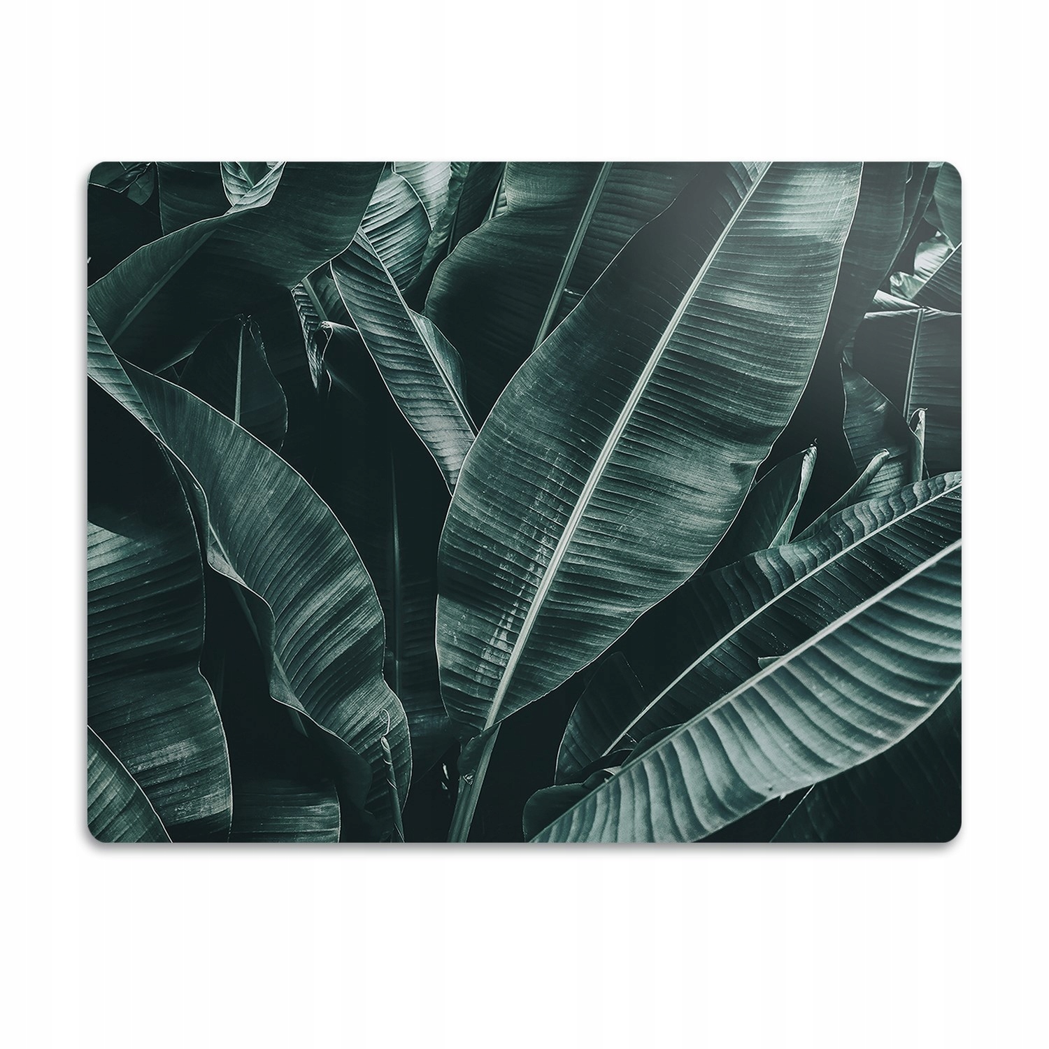 Levně Podložka pod misku Exotické listy 60x40 cm