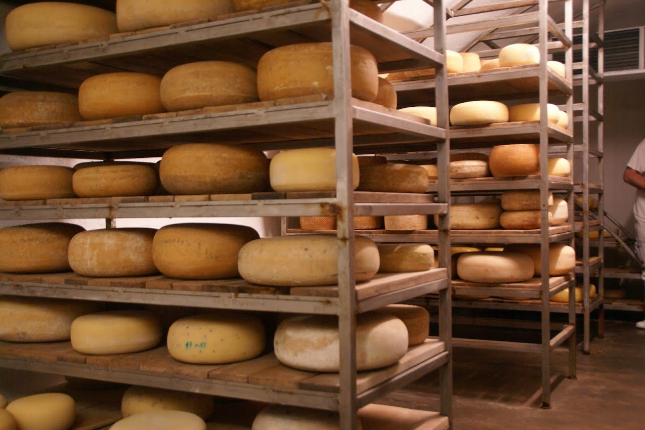 Zestaw 7 parmezanów- Najstarsze smaki- Sery Europy 1kg włoski parmezan old