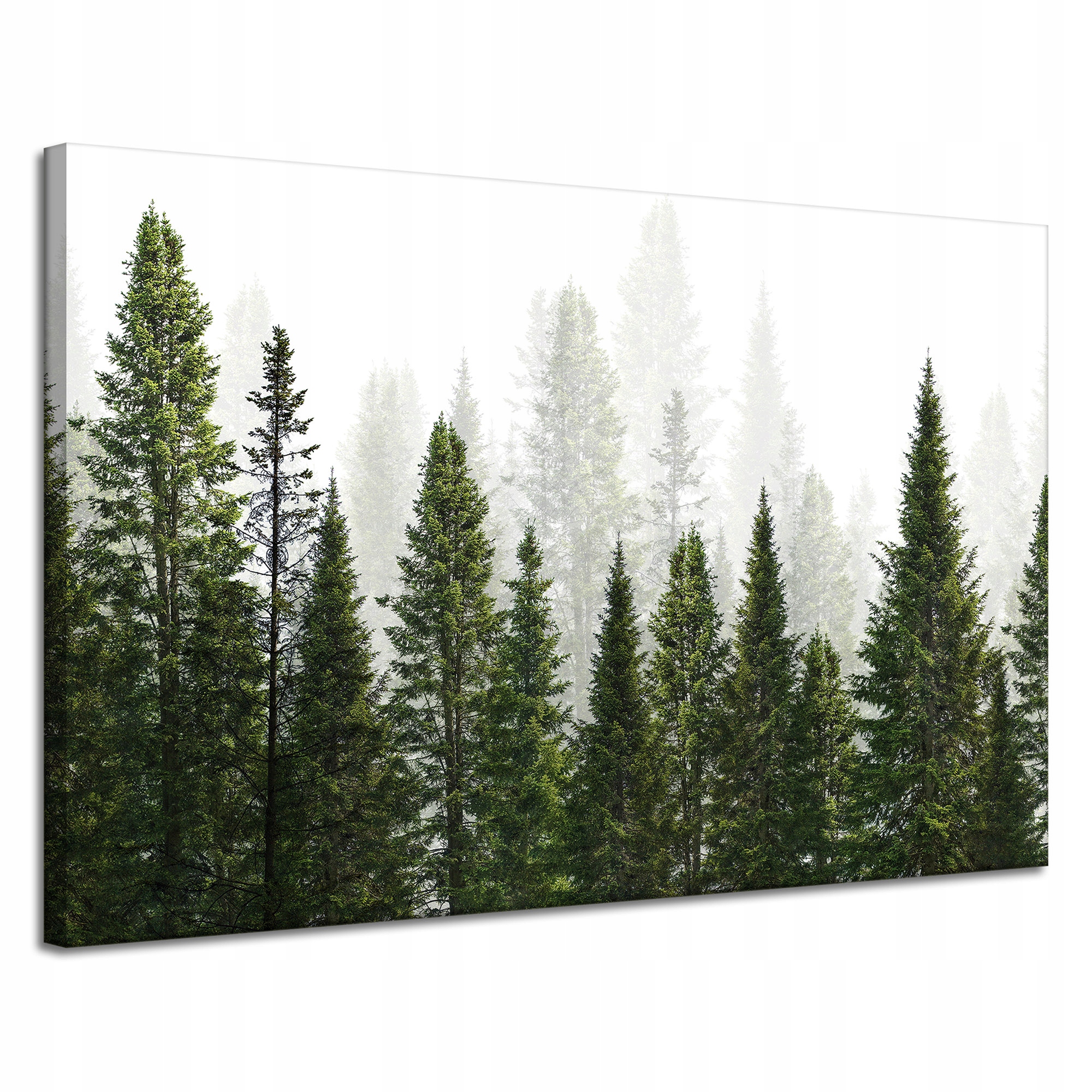 Obraz na plátně Dešťový les Příroda Stromy 120x80 cm