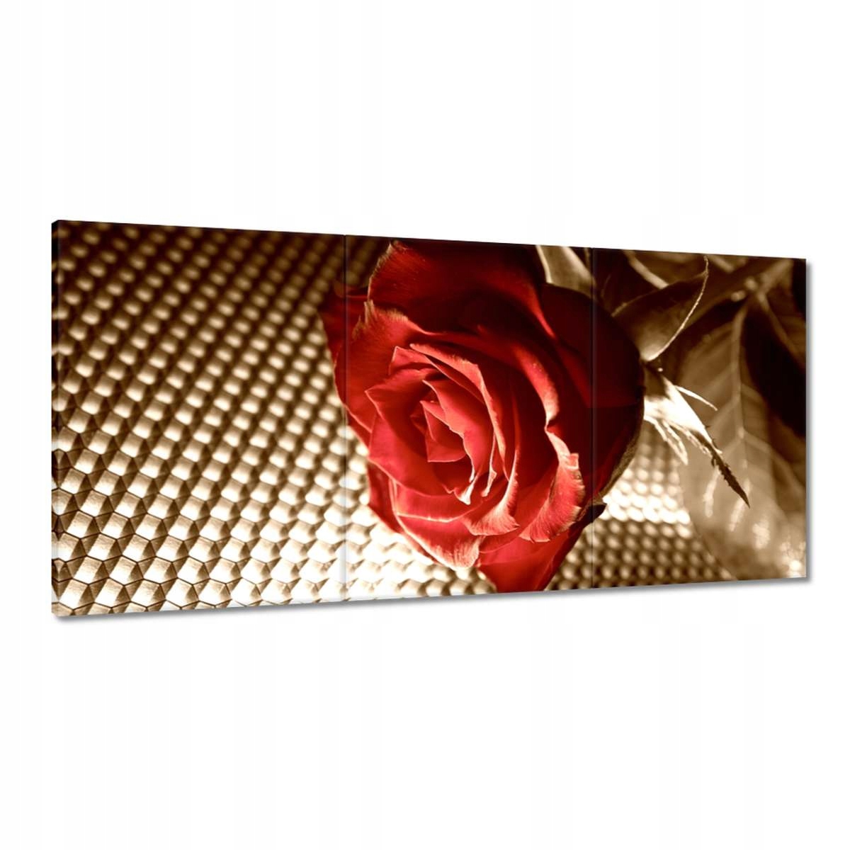 Obrazy 180x90 Ruža pre dievča