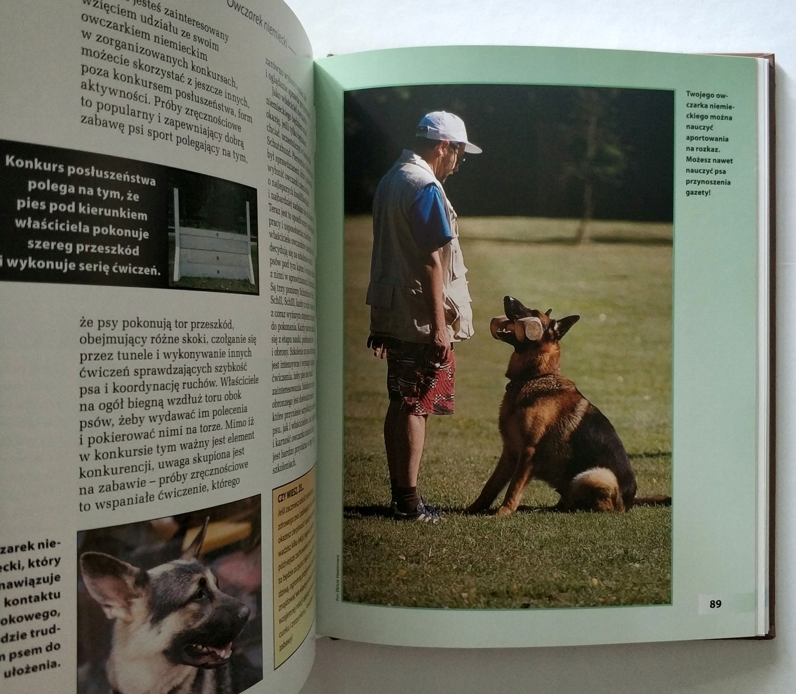 OWCZAREK NIEMIECKI, SUSAN SAMMS, UNIKAT Autor Susan Samms