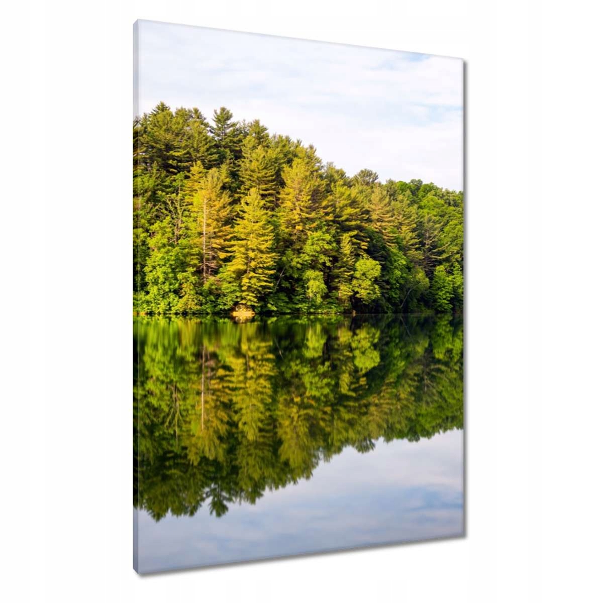 Obrazy 70x100 Les Jezero Mraky