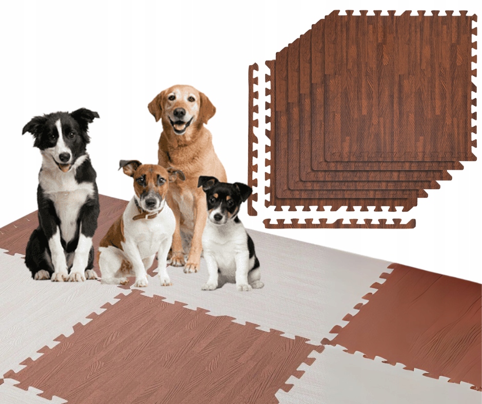 Podložka 1 cm pro psa učení puzzle ochrana 4 barvy 6 kusů