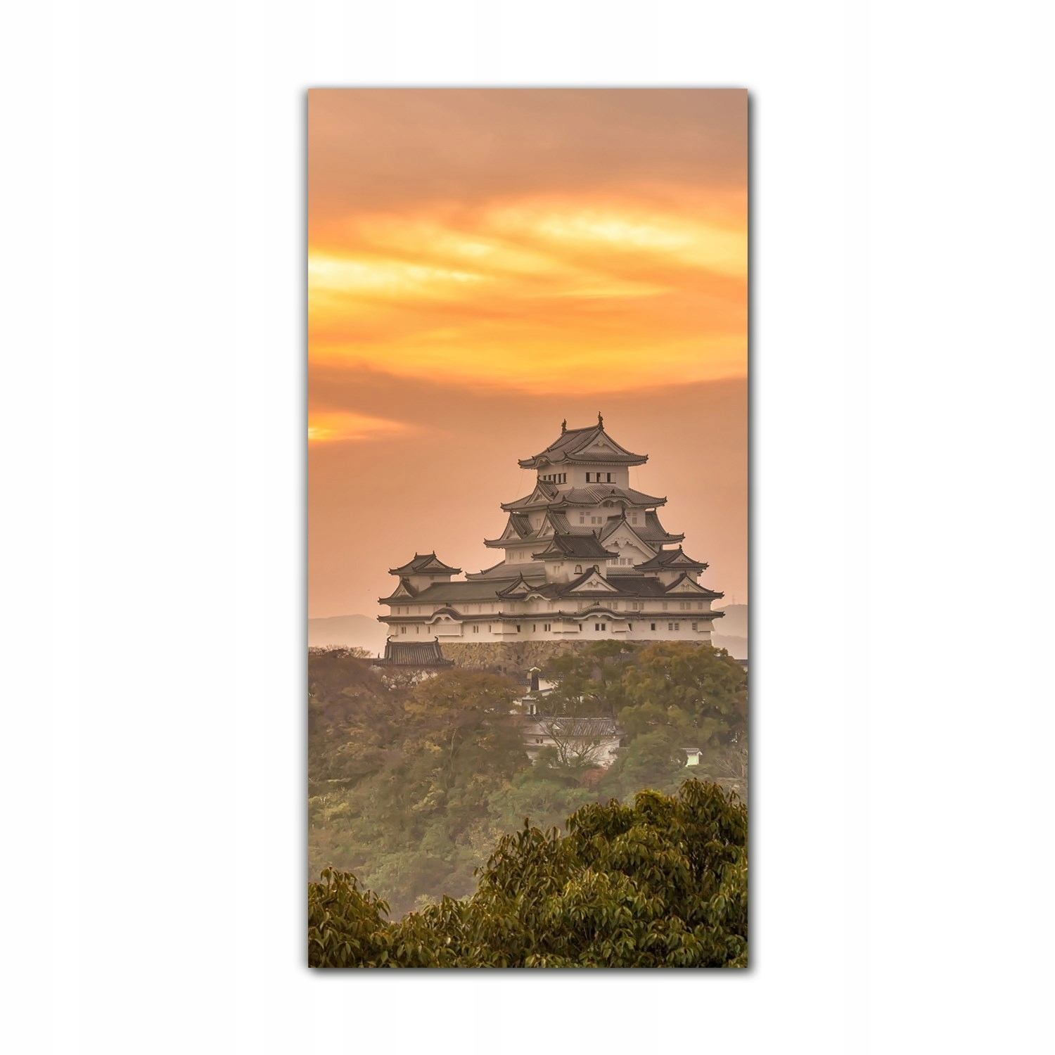 

Foto-obraz na szkle na ścianę 60x120 Zamek Himeji