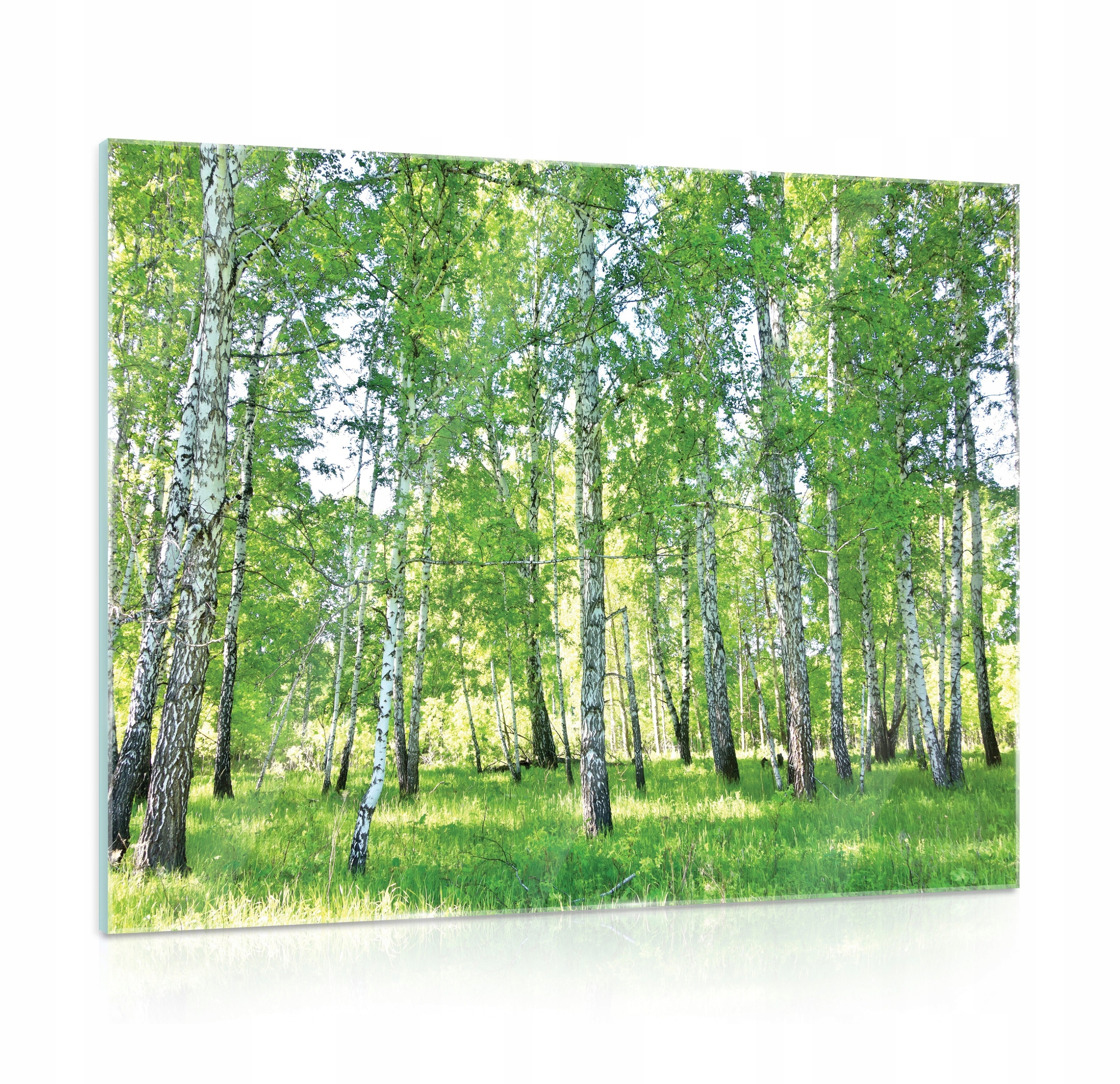 Obraz na skle do kuchyně Břízový les 80x60
