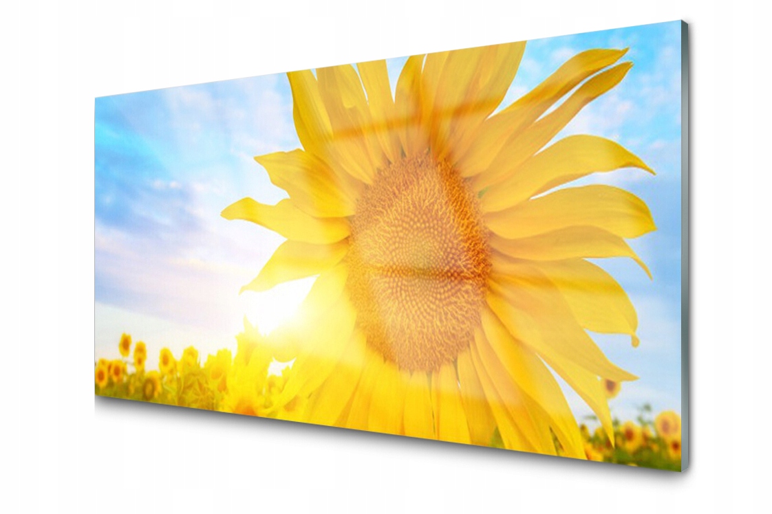 

Panel szklany Płytka Słonecznik Kwiat 140x70
