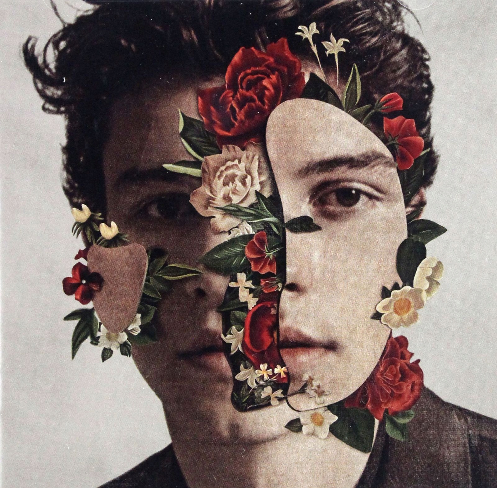 

Shawn Mendes: The Album (CD)