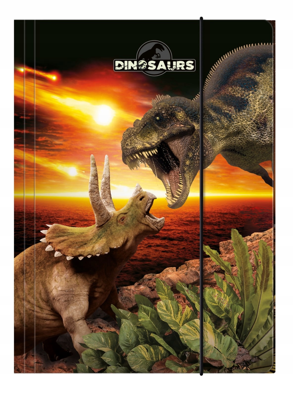 Teczka z gumką A4 Dinozaur Derform