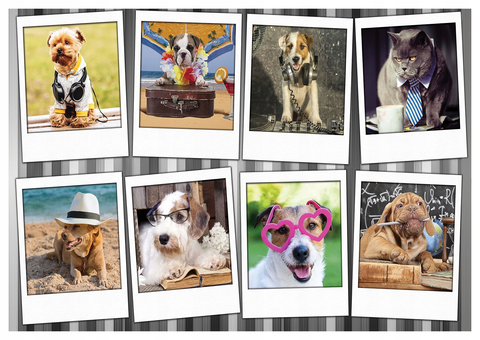 Fototapeta Humorné psy vinylová koláž vtipné portréty 368x254 lepidlo