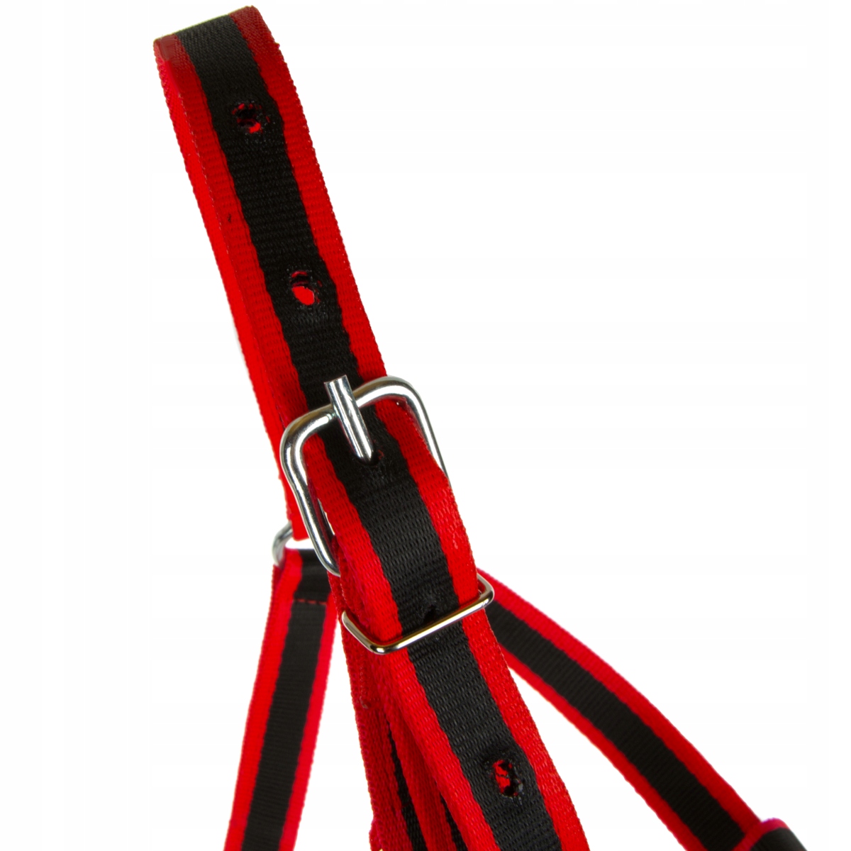 KANTAR DLA KROWY BYKA BYDŁA CIELĄT Rozmiar 3 Kod producenta 64535