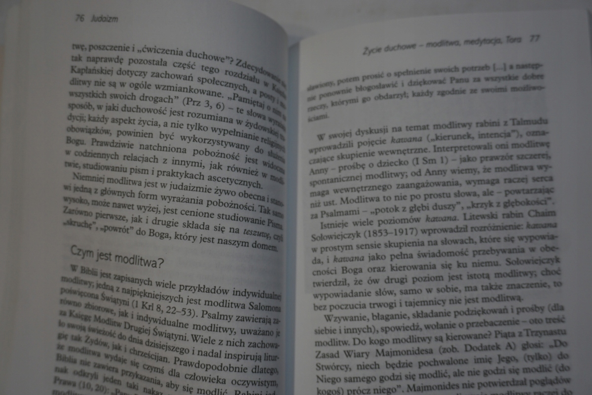 JUDAIZM NORMAN SOLOMON Liczba stron 166