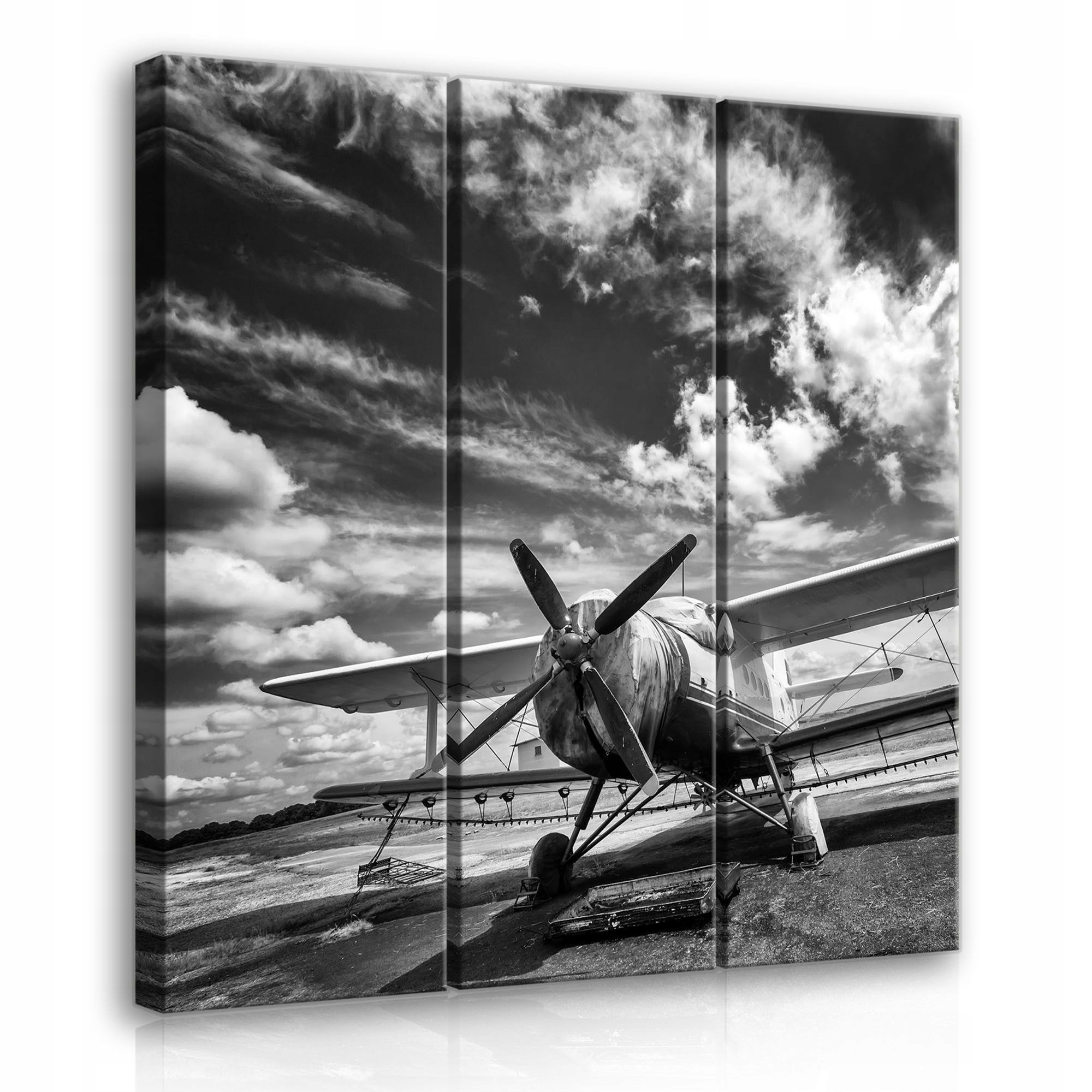 Obraz 90x100 Staré letadlo dvouplošník vintage retro letectví nebe