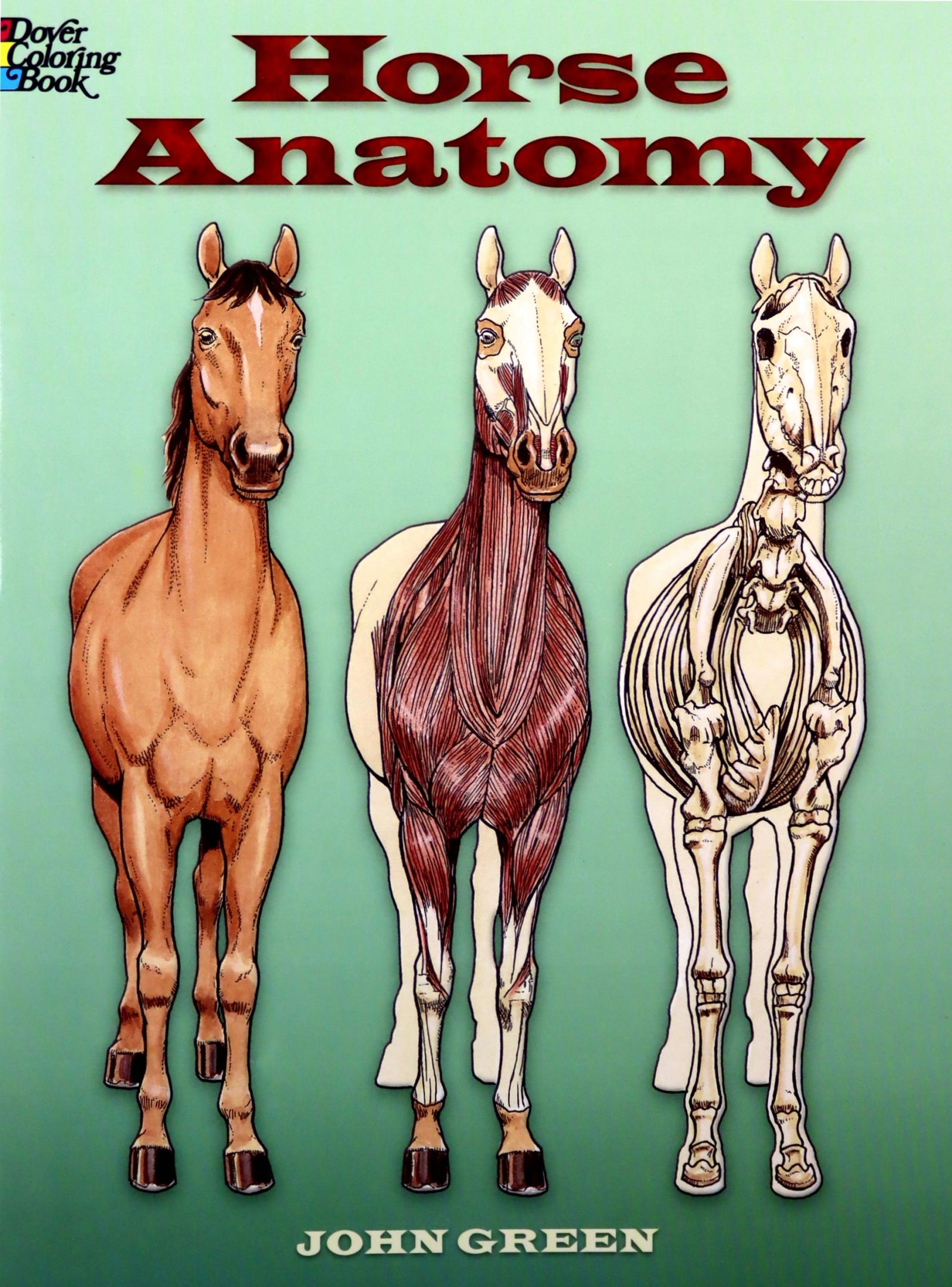 

Horse Anatomy Coloring Book (dover Nature Coloring