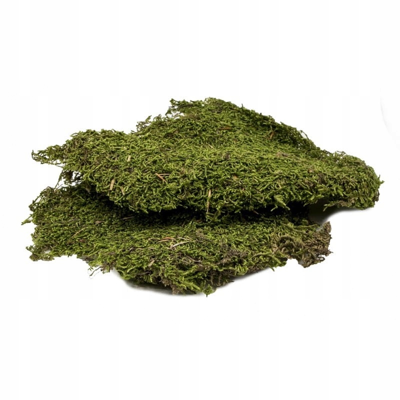

Naturalny Mech Płaty Suszony 50G
