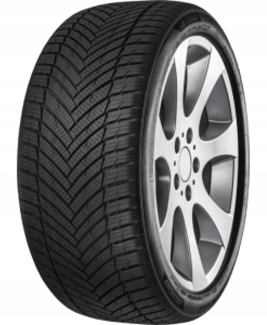 Minerva As Master 225/65 R17 XL 102 V