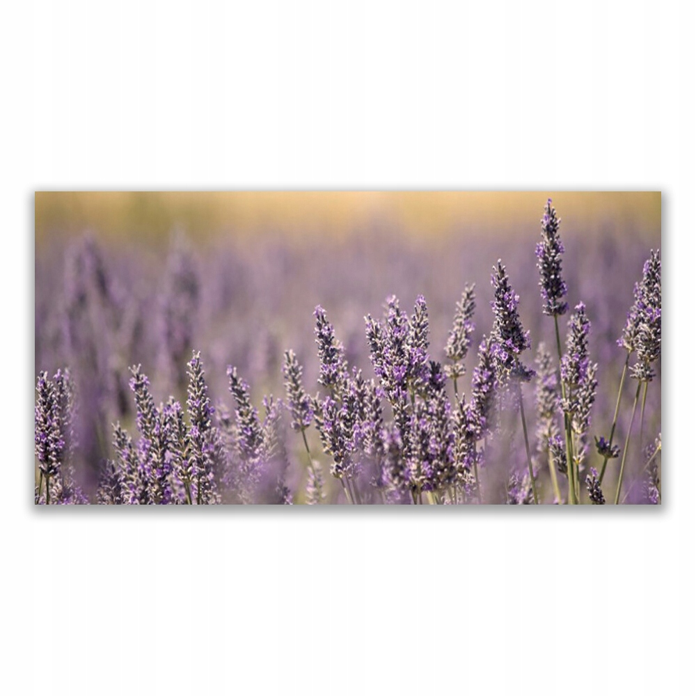 

Obraz akryl na ścianę 120x60 Kwiaty Roślina Natura