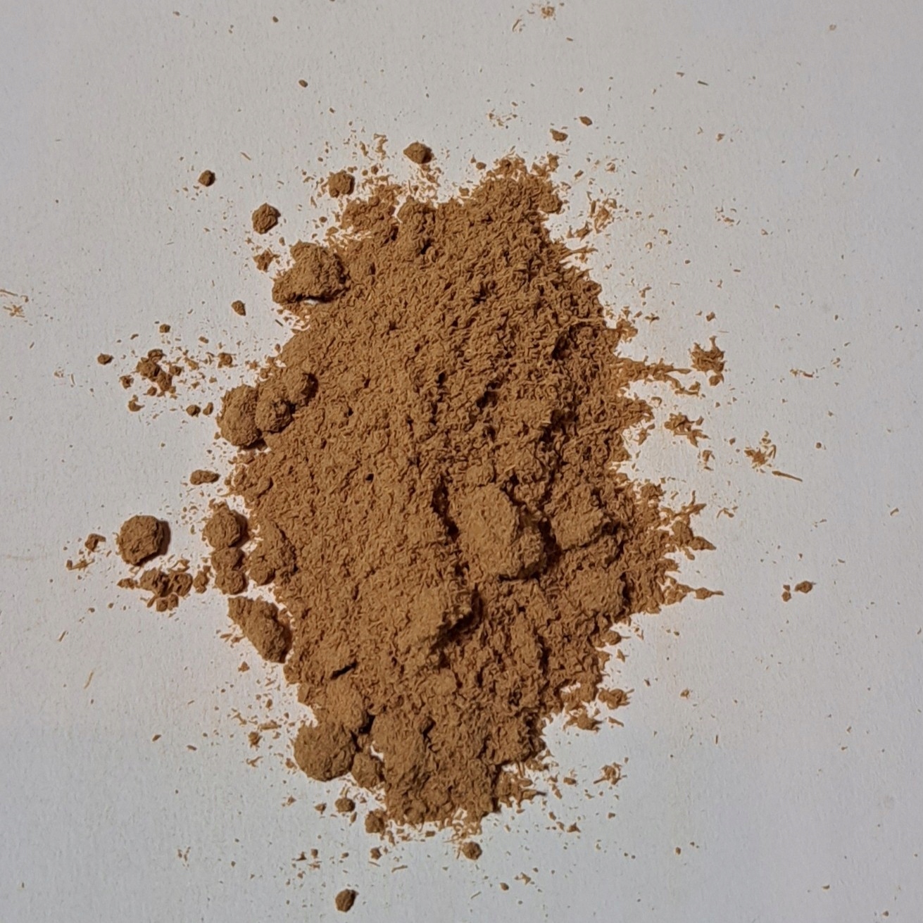 Galgant- Alpinia Lékařská Grys 1kg Rafex